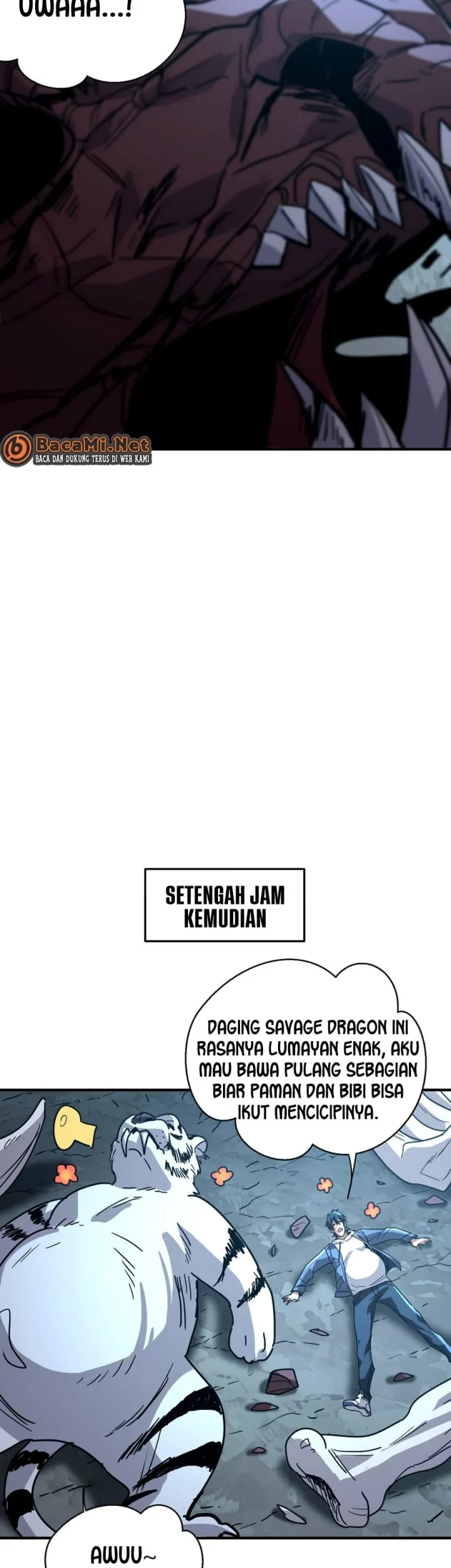 Halaman 24